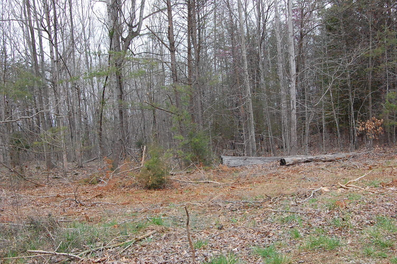 Lot 7 Dark Hollow Road Moneta, VA 24121 - Photo 3 of 4 DSC_0915