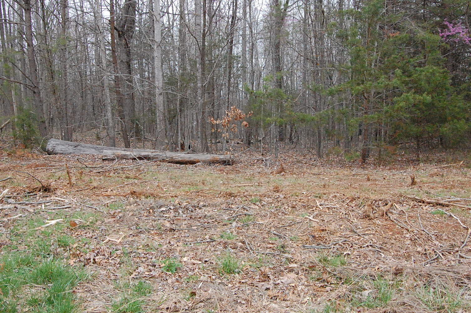 Lot 7 Dark Hollow Road Moneta, VA 24121 - Photo 4 of 4 DSC_0916