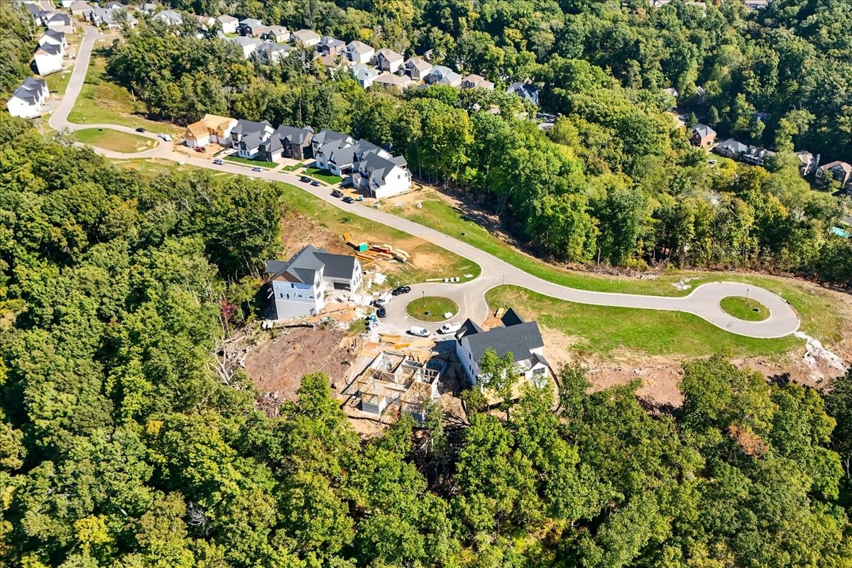 908 Spring Ridge Court Nashville, TN 37221 - Photo 4 of 7 an aerial view of a house with a yard swimming pool a yard and a large tree