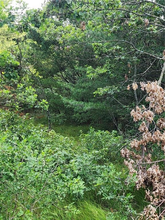5500 County Highway Sparta, WI 54656 - Photo 20 of 39