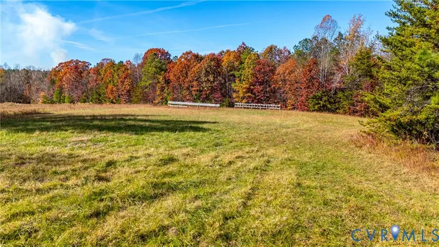 a view of a yard with trees