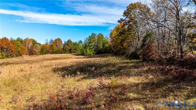 a view of a pathway with a yard