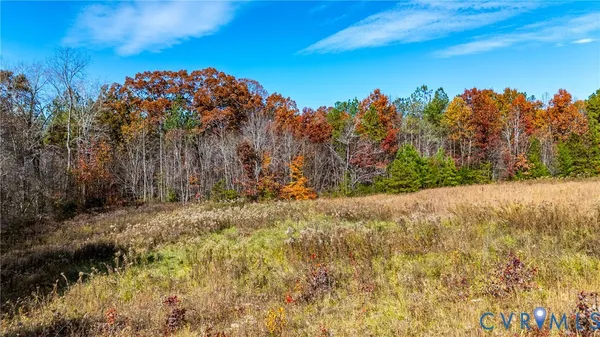 a view of a garden with trees