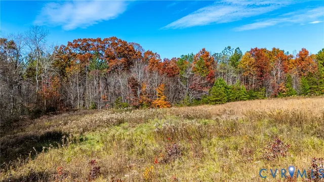 a view of a garden with trees