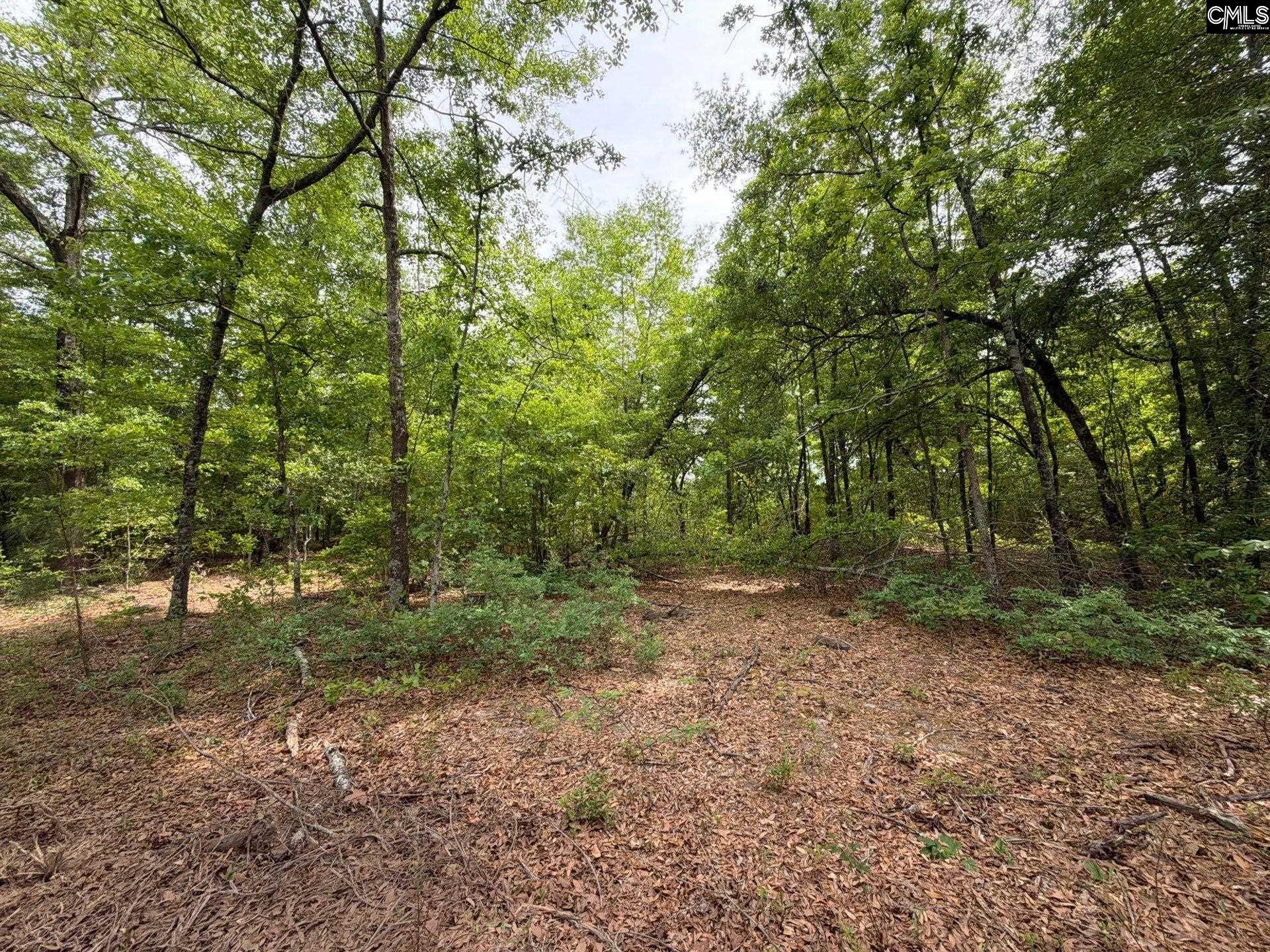 2 Rogers Cemetery Road Aiken, SC 29801 - Photo 20 of 26