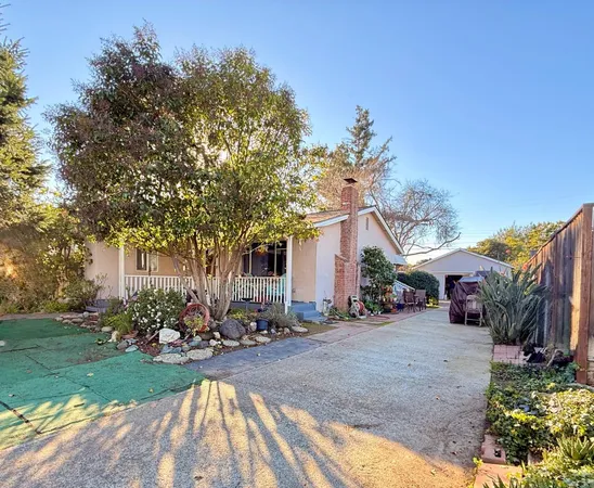 a row of palm trees in front of house