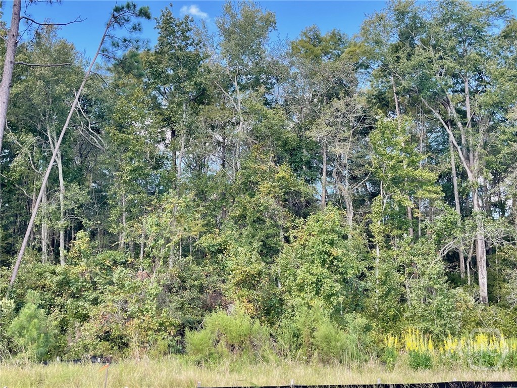 233 Bircholt Grove Pooler, GA 31322 - Photo 2 of 28 Preserve View