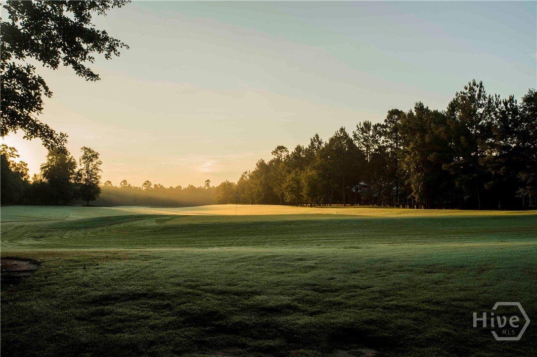 233 Bircholt Grove Pooler, GA 31322 - Photo 23 of 28 Community Photo