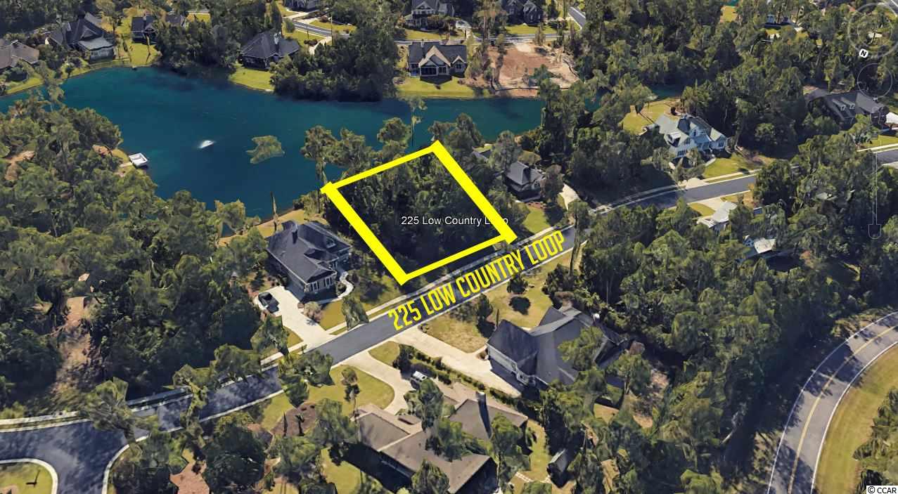225 Low Country Loop Murrells Inlet, SC 29576 - Photo 3 of 13
