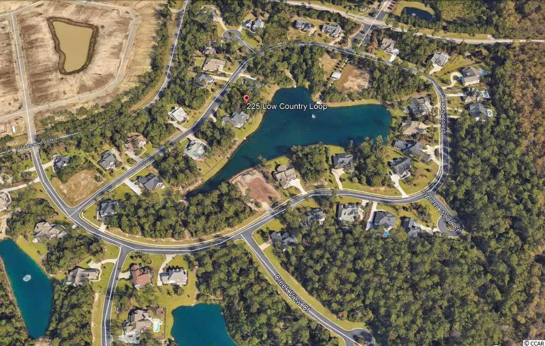225 Low Country Loop Murrells Inlet, SC 29576 - Photo 5 of 13