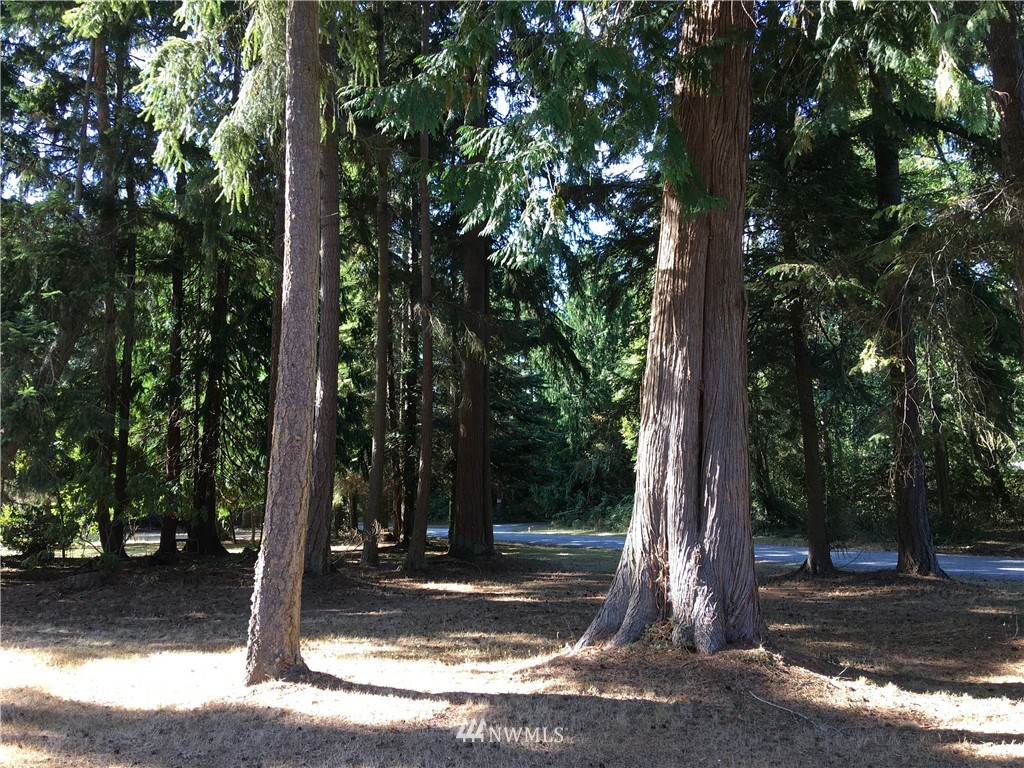835 West Barrett Road Coupeville, WA 98239 - Photo 17 of 17 Gallery Image 17