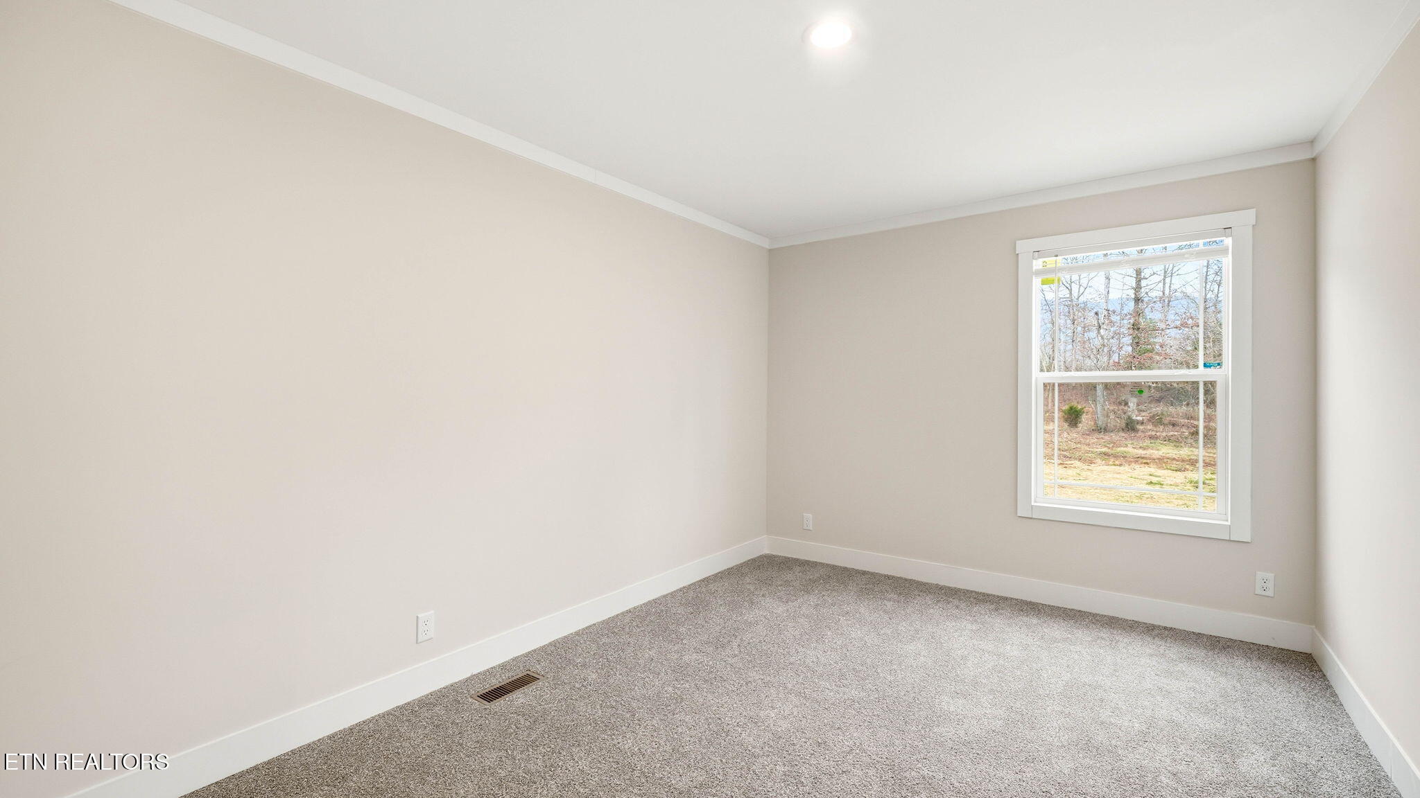 970 Ricker Road Greeneville, TN 37743 - Photo 25 of 43 16-web-or-mls-17-web-or-mls-970 Ricker_R