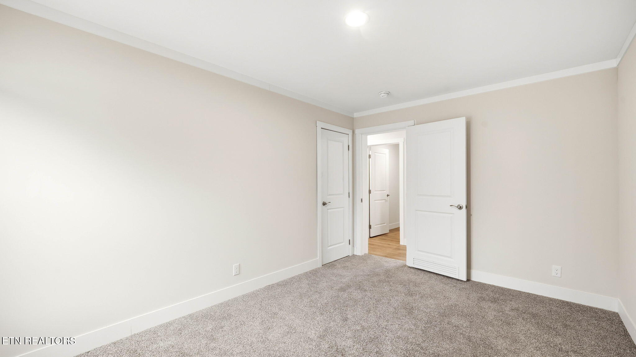 970 Ricker Road Greeneville, TN 37743 - Photo 26 of 43 3rd Bedroom