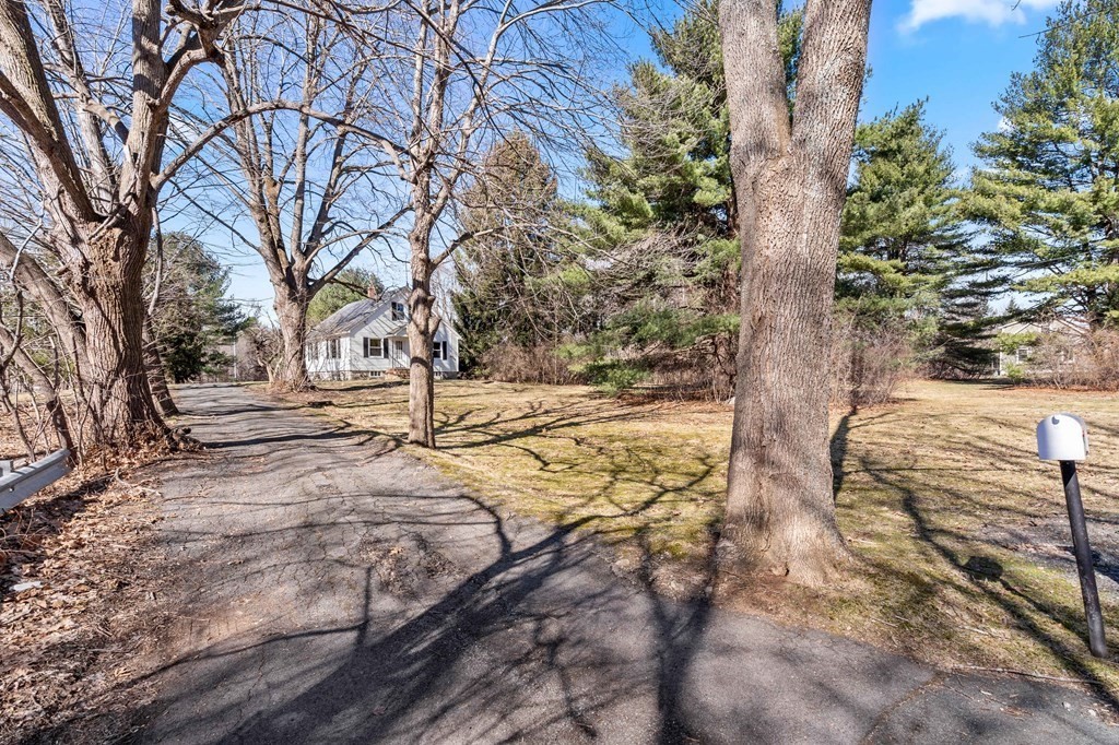13 Dearborn Road Methuen, MA 01844 - Photo 34 of 39 a view of yard with tree