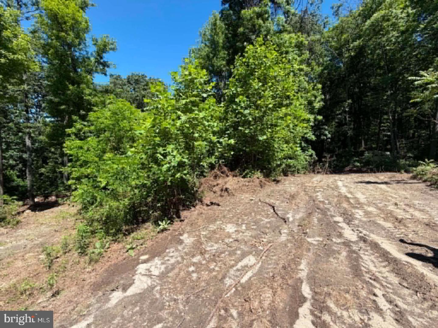 51 Cabin Road Augusta, WV 26704 - Photo 19 of 21 Gallery Image 19