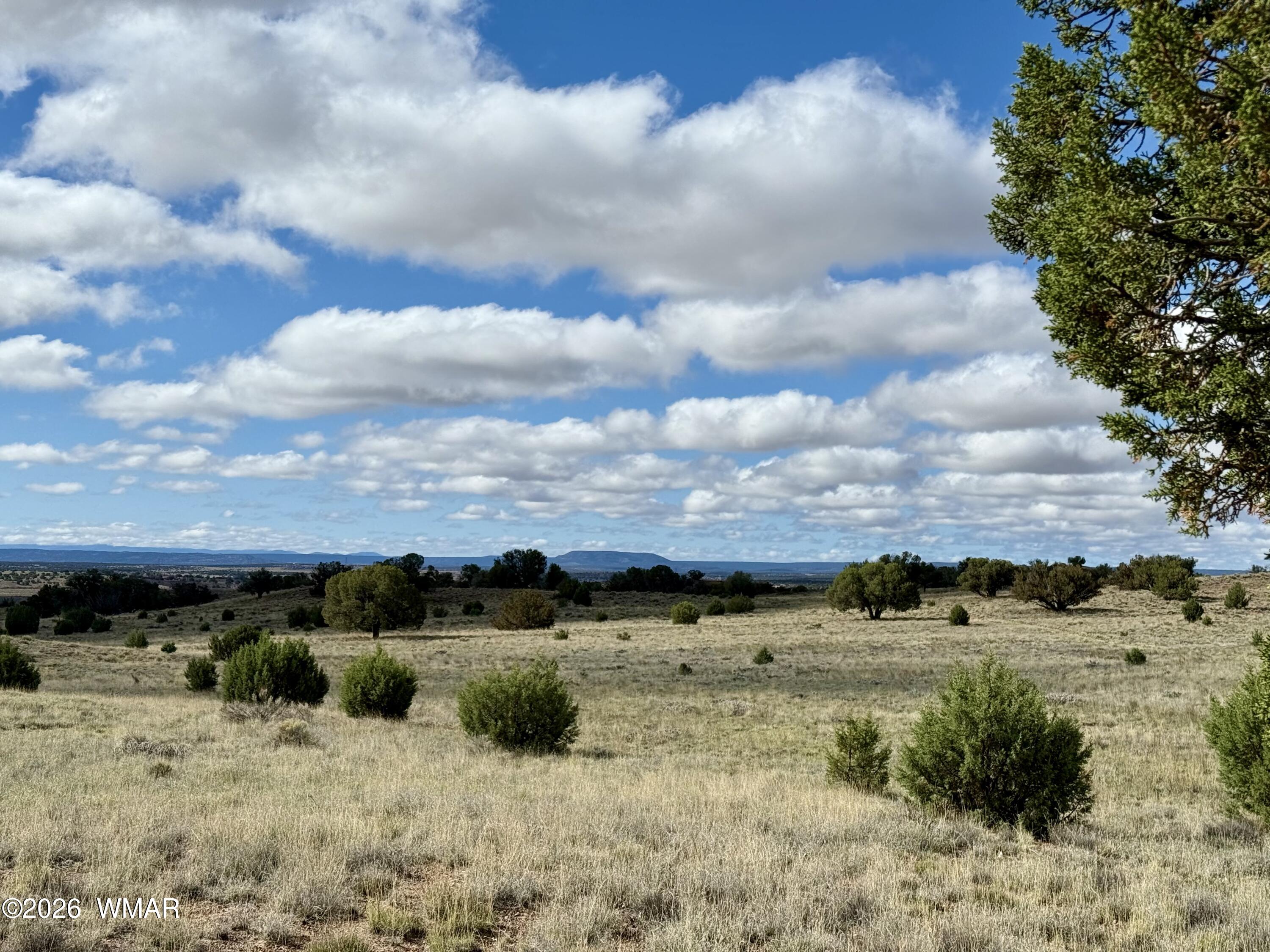 228 County Road Concho, AZ 85924 - Photo 2 of 19 01