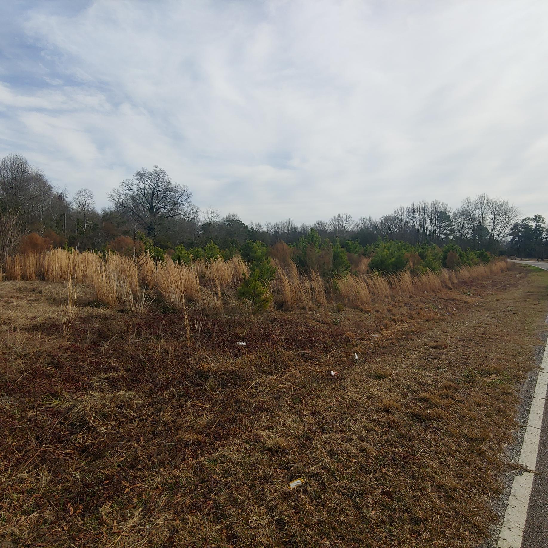 555 East Brewington Road Sumter, SC 29153 - Photo 7 of 13 road angle left