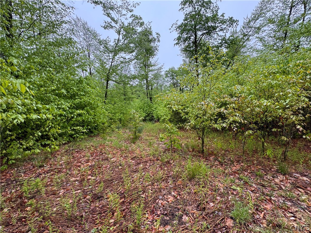 0 Hawkinsville Road Woodgate, NY 13494 - Photo 25 of 27