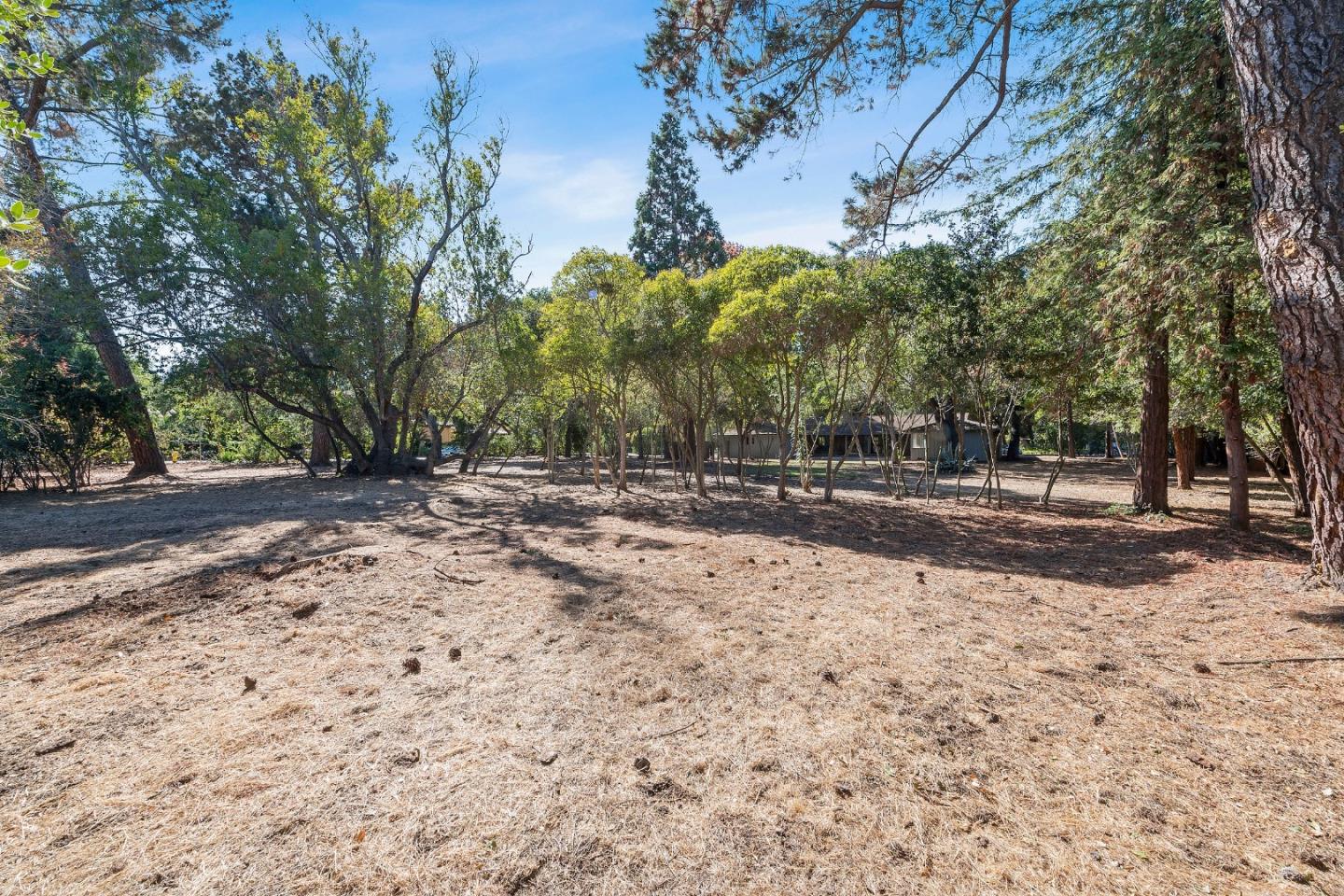 2 Lowery Drive Atherton, CA 94027 - Photo 29 of 32 a view of road with trees
