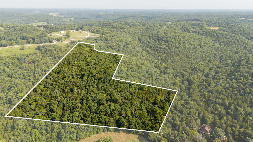 0 Misty Springs Road Galena, MO 65656 - Photo 1 of 52 border