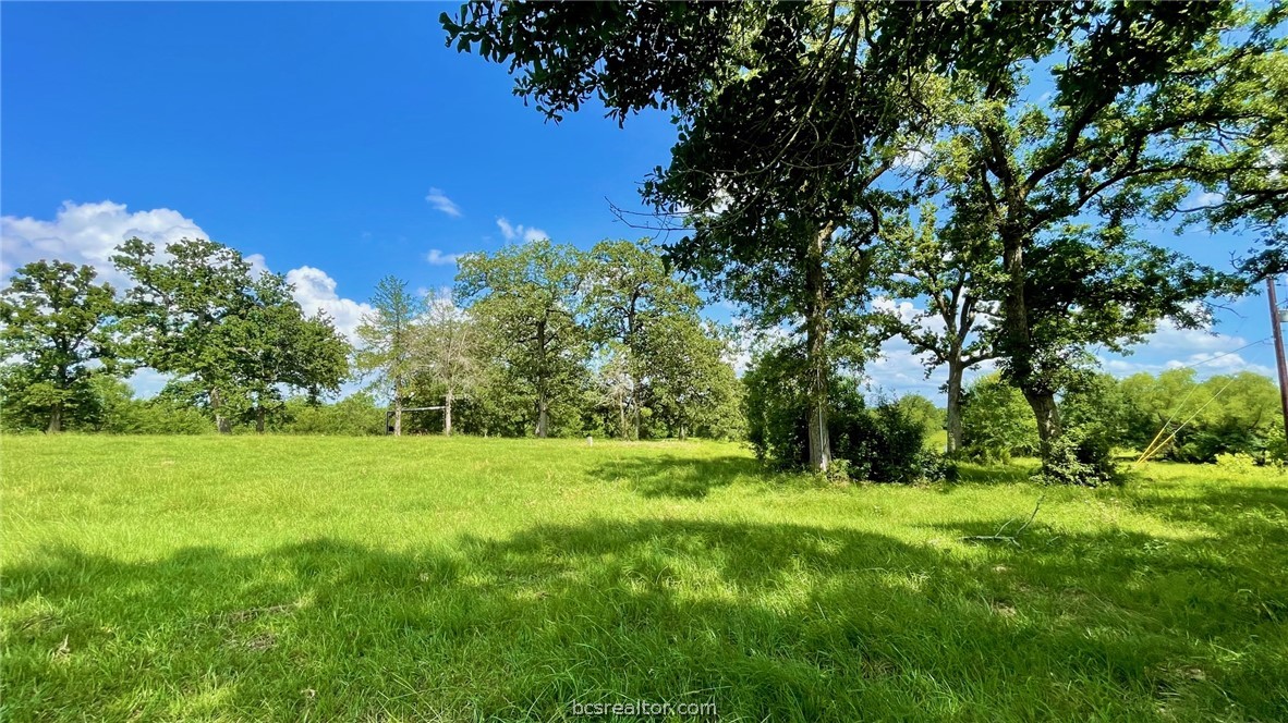 Tbd Tbd Wilson Pasture Road Bryan, TX 77808 - Photo 21 of 29 a view of an outdoor space and yard