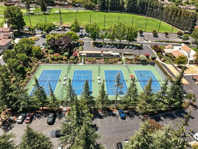 a view of a garden with lawn chairs under an umbrella