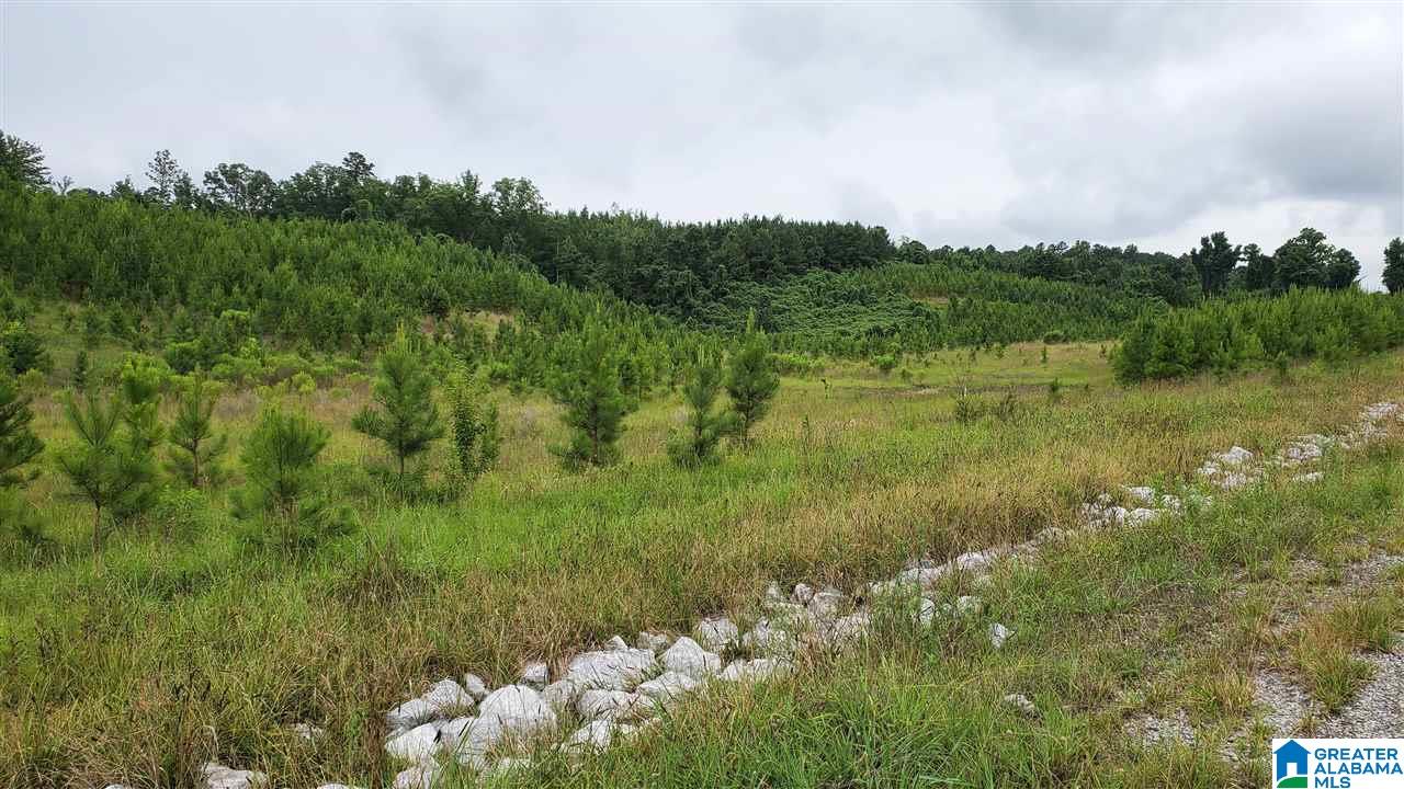 0 County Road 270 Montevallo, AL 35115 - Photo 4 of 9