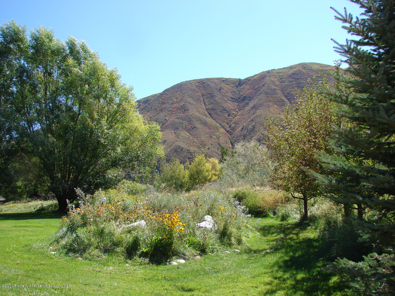265 Adams Way Basalt, CO 81621 - Photo 8 of 17 a view of a grassy area with an trees