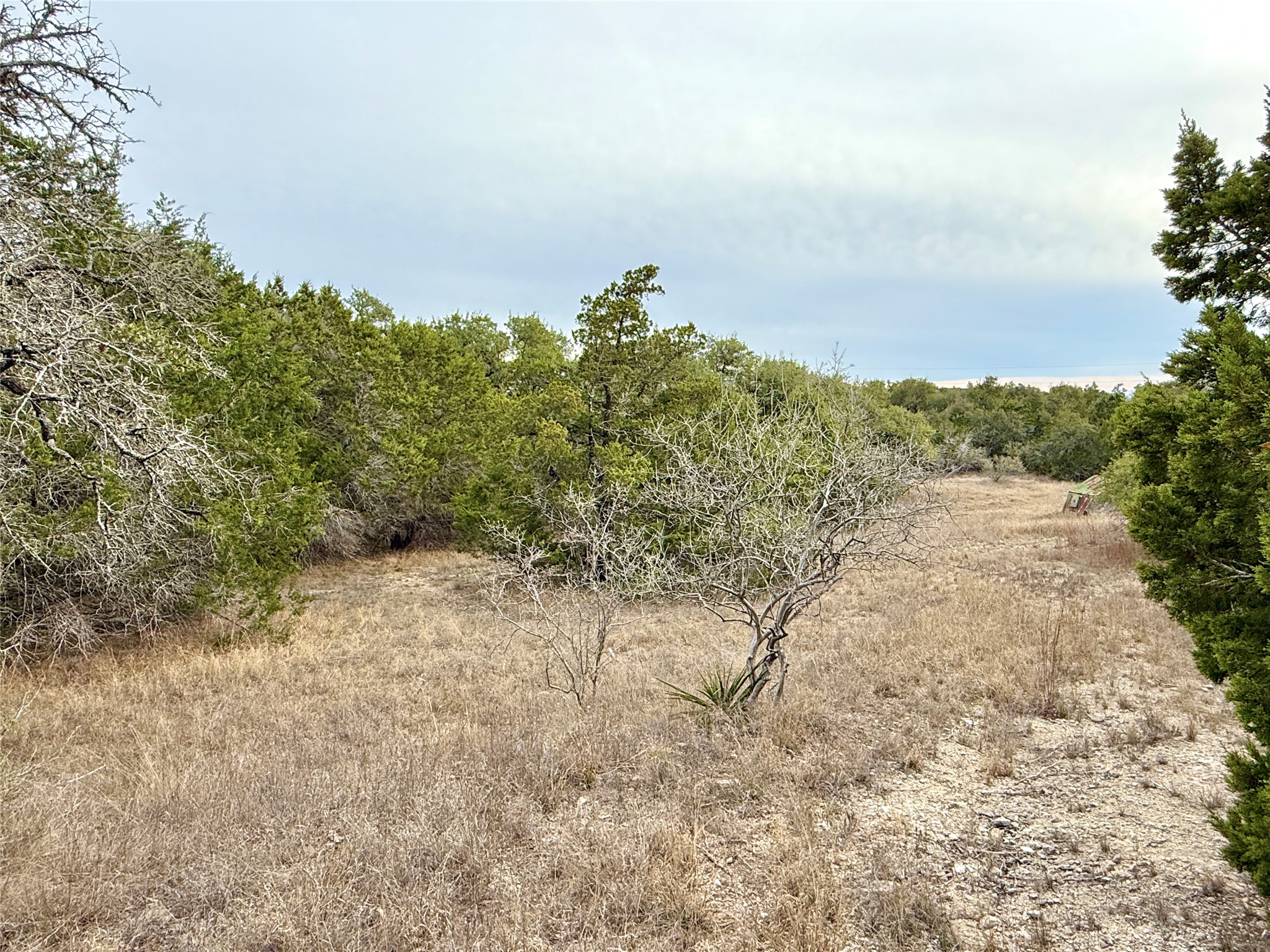 557 Abodar Trail Spring Branch, TX 78070 - Photo 11 of 22 Middle Interior - looking to the front