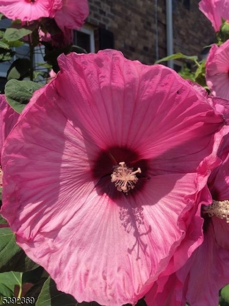 54 East Maple Street Teaneck, NJ 07666 - Photo 14 of 17 a view of a house with a backyard