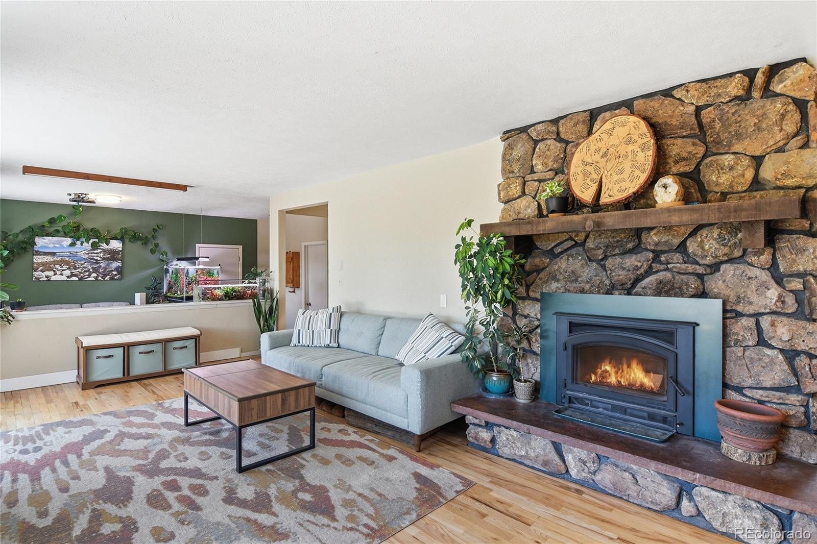 31280 Florence Road Conifer, CO 80433 - Photo 12 of 41