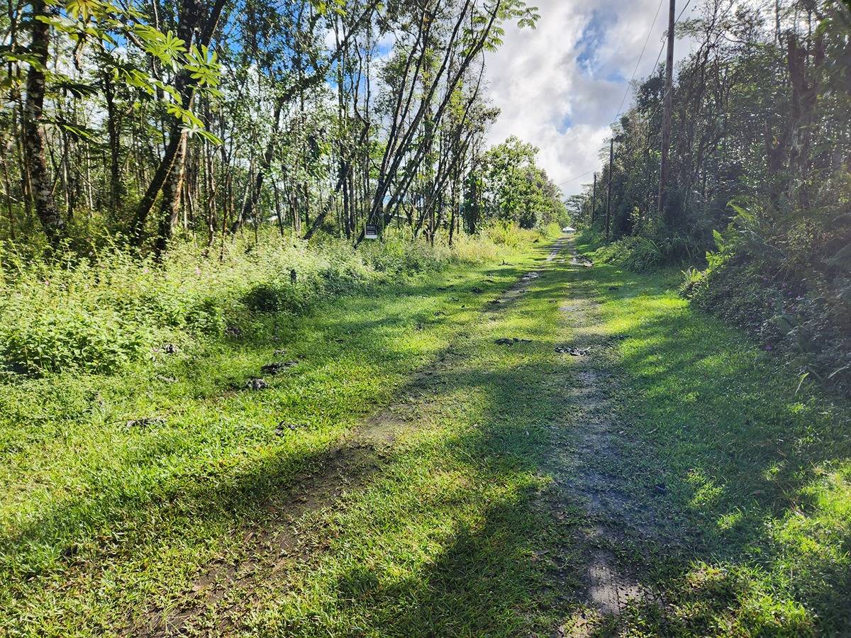 296 Paradise Road Pahoa, HI 96778 - Photo 4 of 4 Gallery Image 4