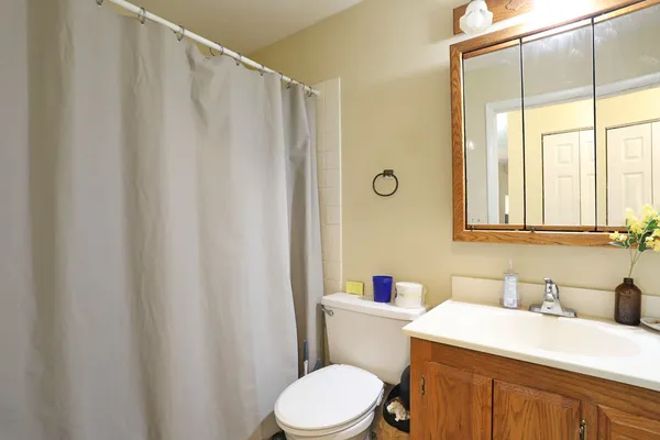 a bathroom with a sink a toilet and a mirror