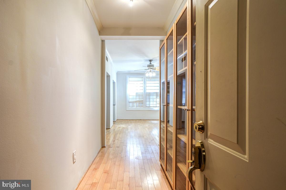 3120 R Street Northwest, Unit 109 Washington, DC 20007 - Photo 5 of 33 Gallery Image 5