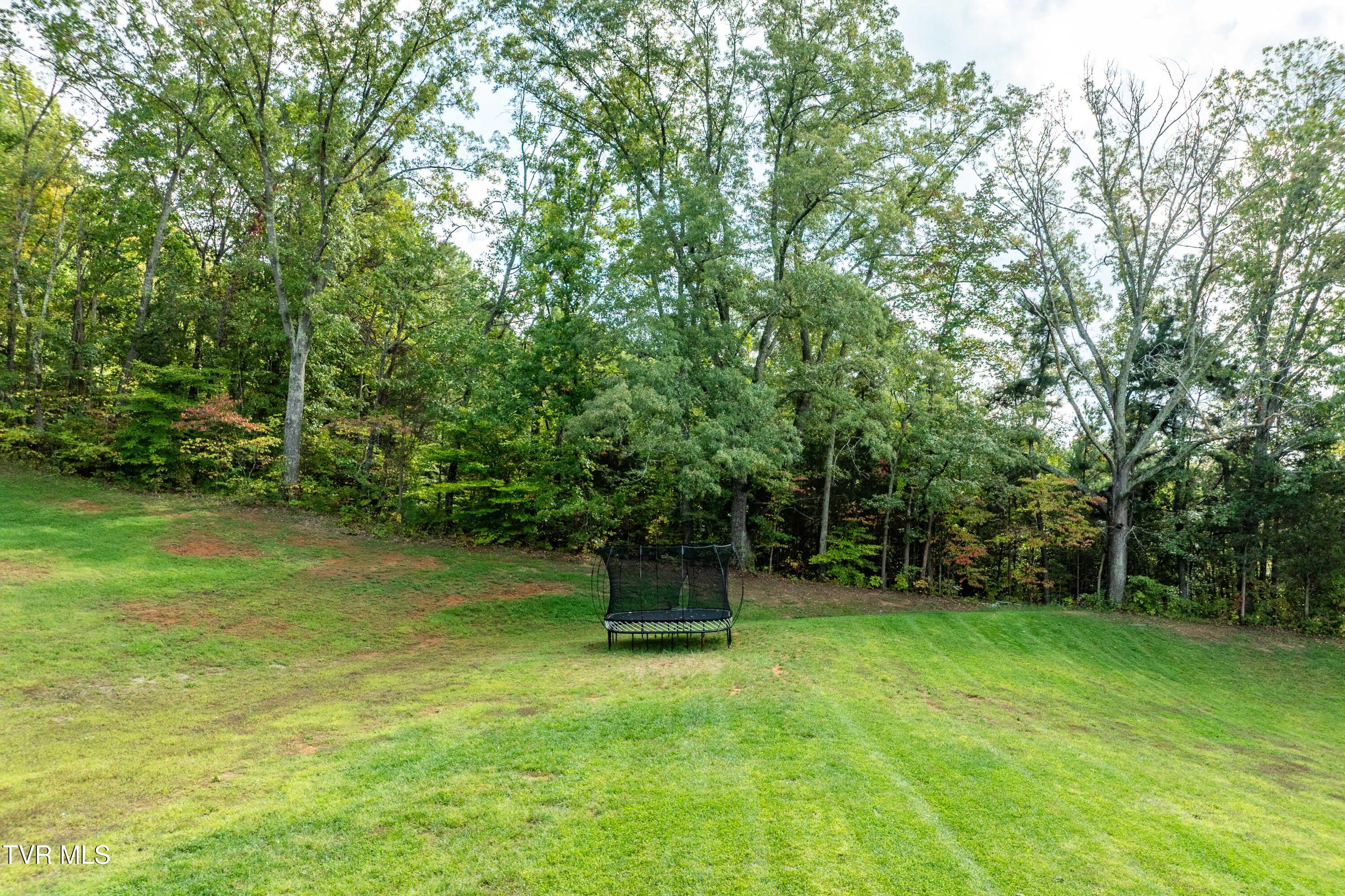 2333 Rock Springs Road Kingsport, TN 37664 - Photo 156 of 165 2333 Rock Springs Road (24 of 169)