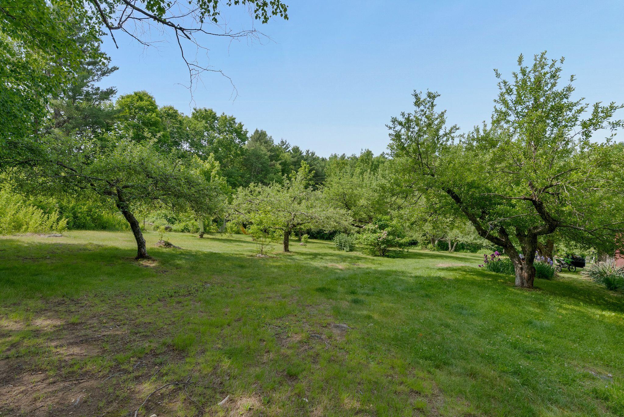 286 Watson Hill Road Limerick, ME 04048 - Photo 70 of 72 6_DSC08484 copy