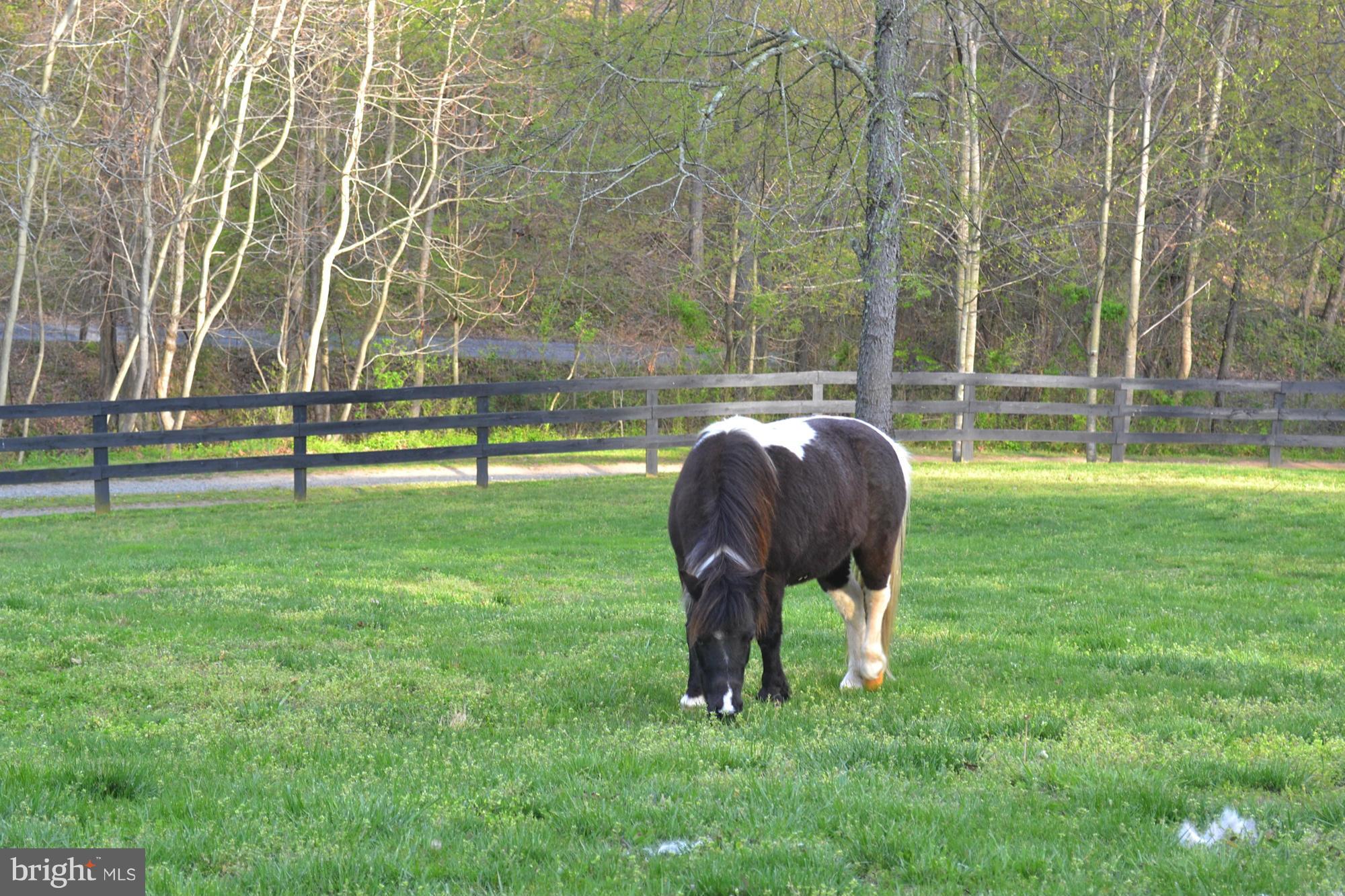 10427 Jacksontown Road Delaplane, VA 20144 - Photo 11 of 16 View
