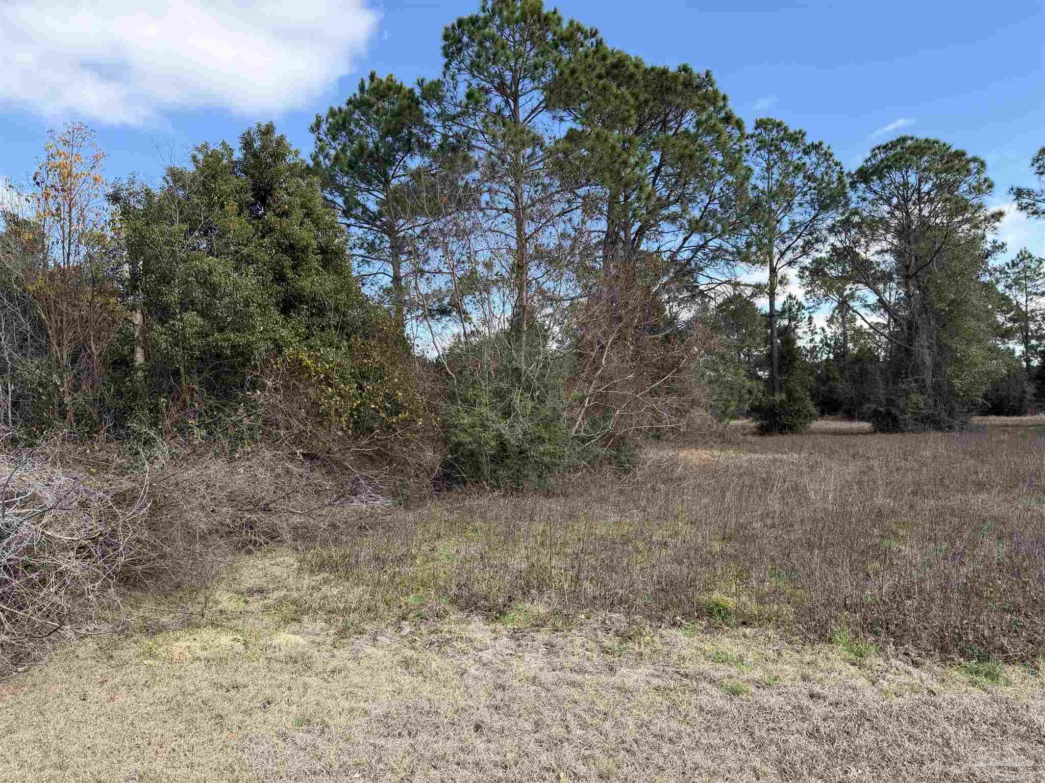 31849 Randolf Avenue Lillian, AL 36549 - Photo 11 of 16