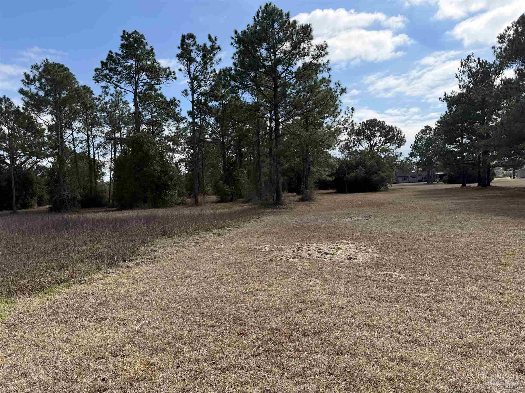 31849 Randolf Avenue Lillian, AL 36549 - Photo 15 of 16