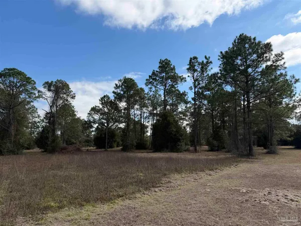 $340,000 | 31849 Randolf Avenue, Lillian, AL 36549