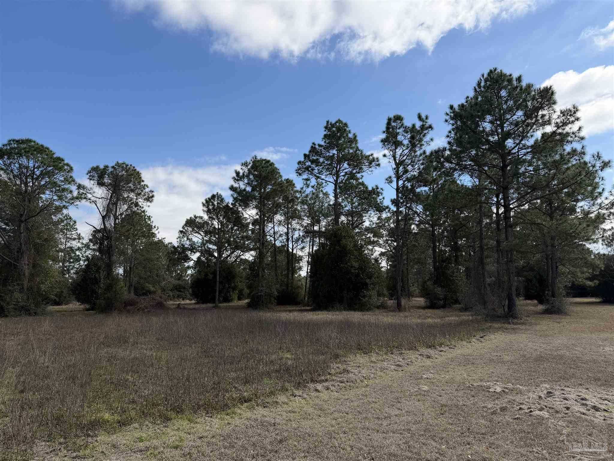 31849 Randolf Avenue Lillian, AL 36549 - Photo 2 of 16