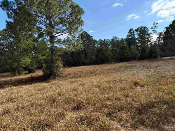 $340,000 | 31849 Randolf Avenue, Lillian, AL 36549