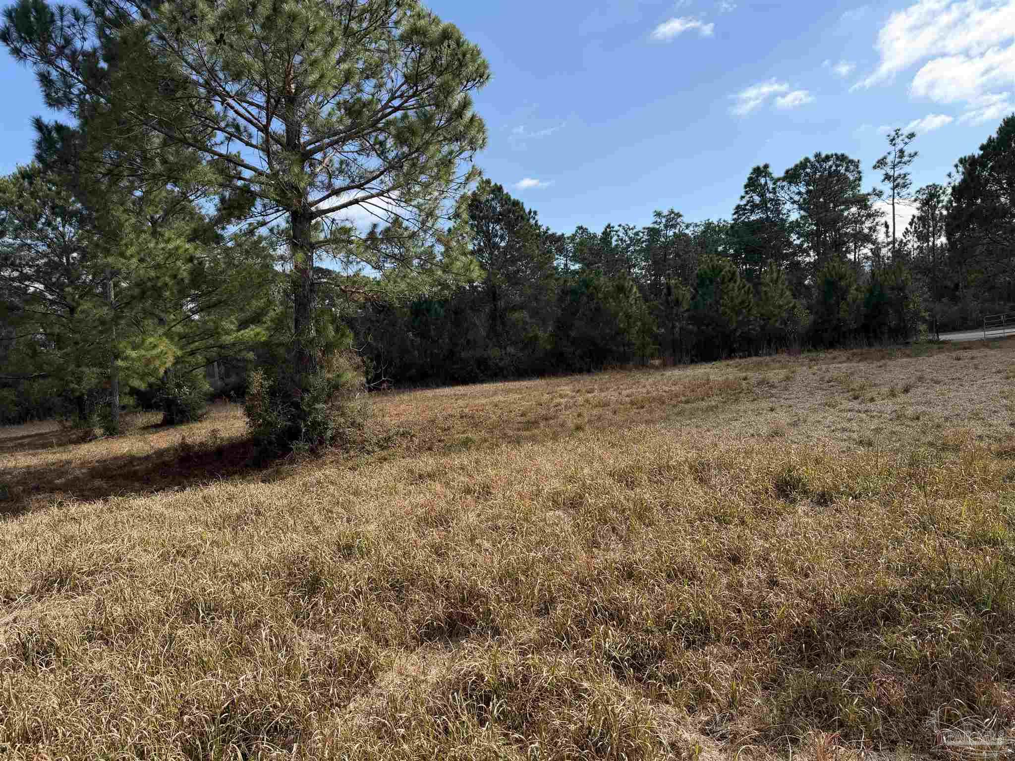 31849 Randolf Avenue Lillian, AL 36549 - Photo 3 of 16