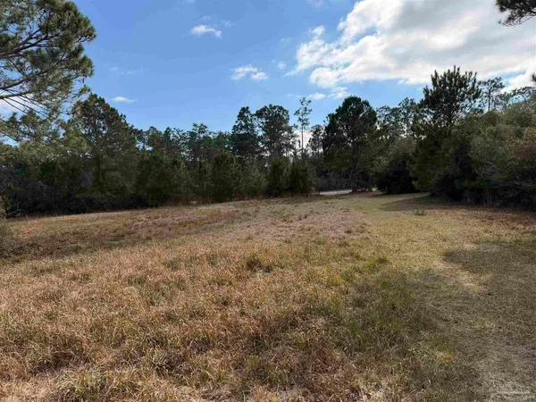 $340,000 | 31849 Randolf Avenue, Lillian, AL 36549