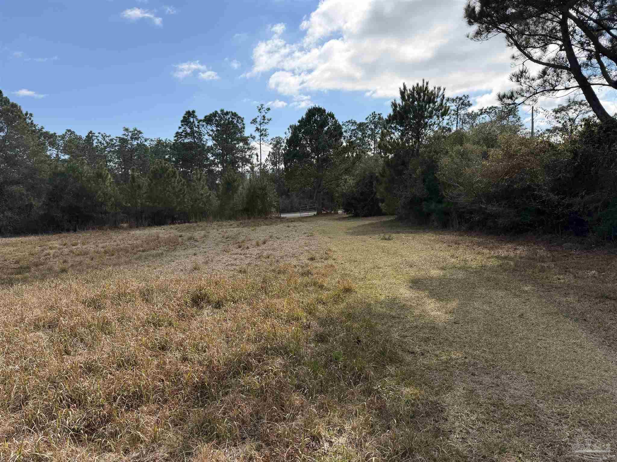 31849 Randolf Avenue Lillian, AL 36549 - Photo 5 of 16