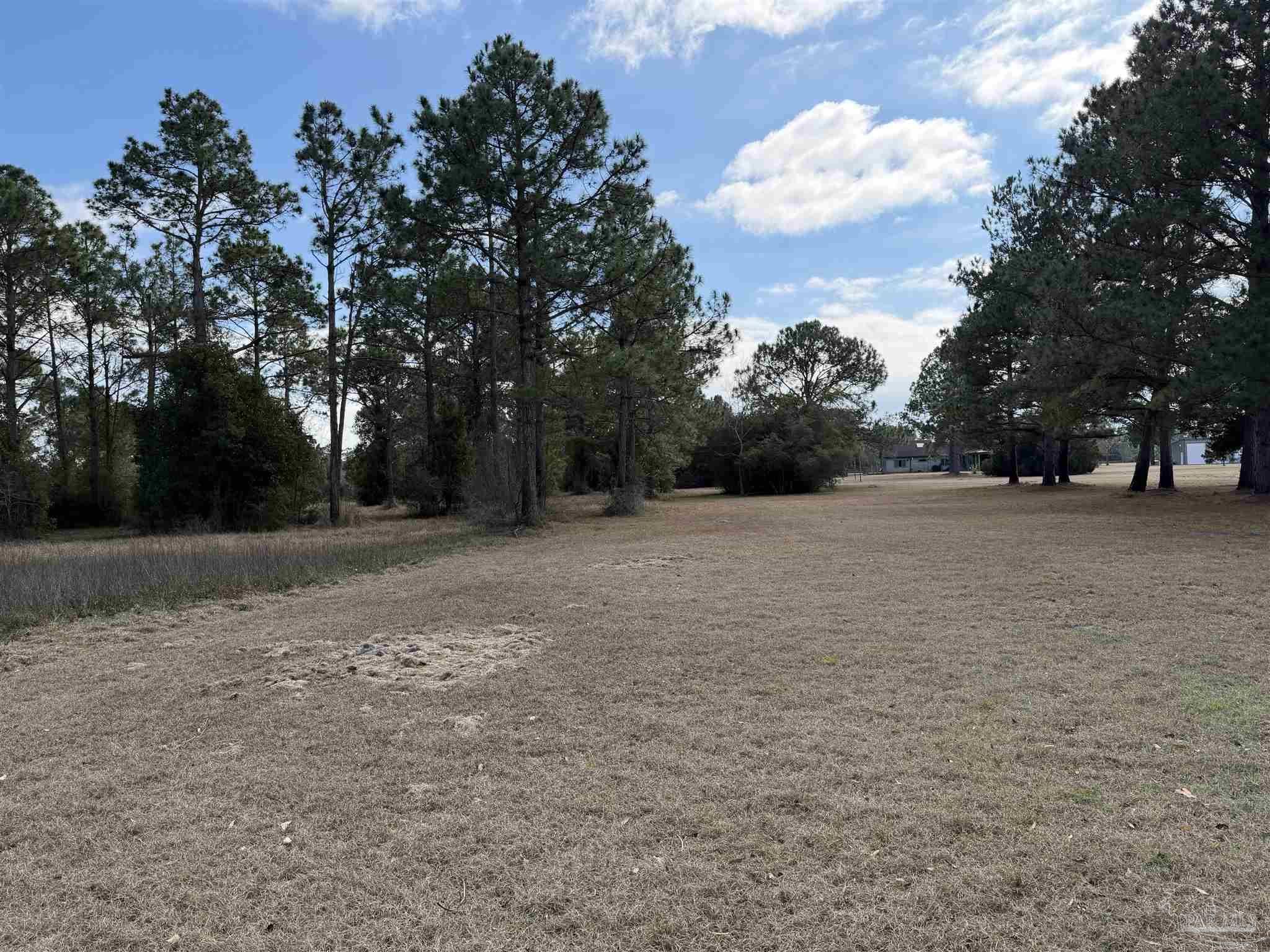 31849 Randolf Avenue Lillian, AL 36549 - Photo 6 of 16