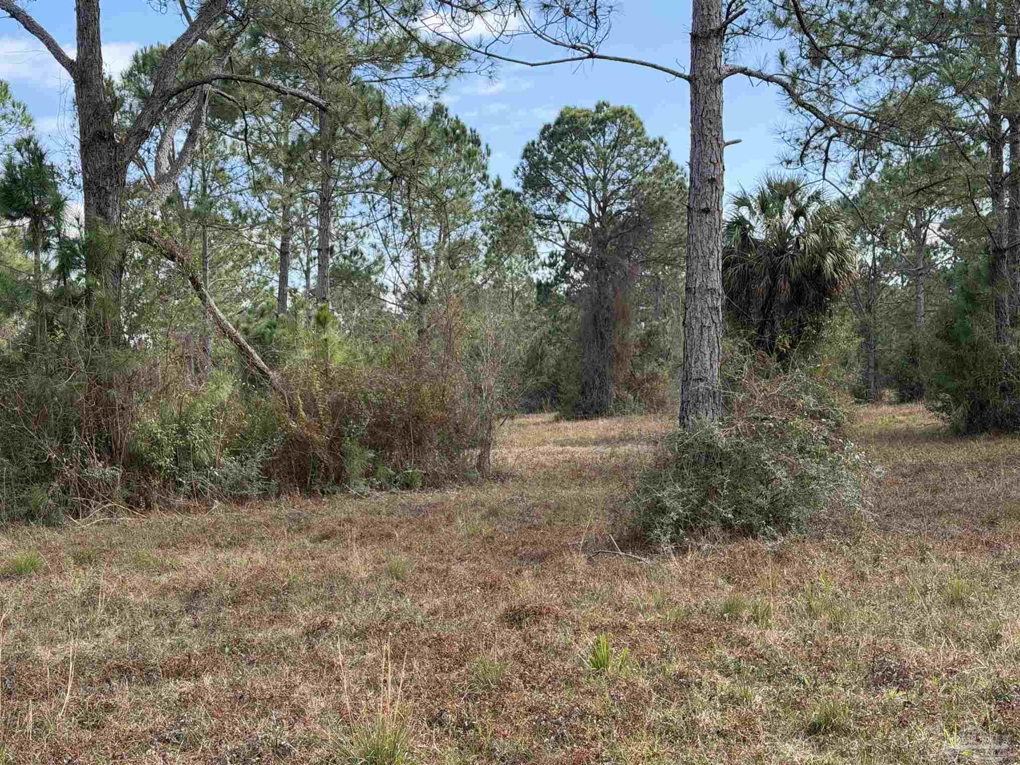 31849 Randolf Avenue Lillian, AL 36549 - Photo 7 of 16