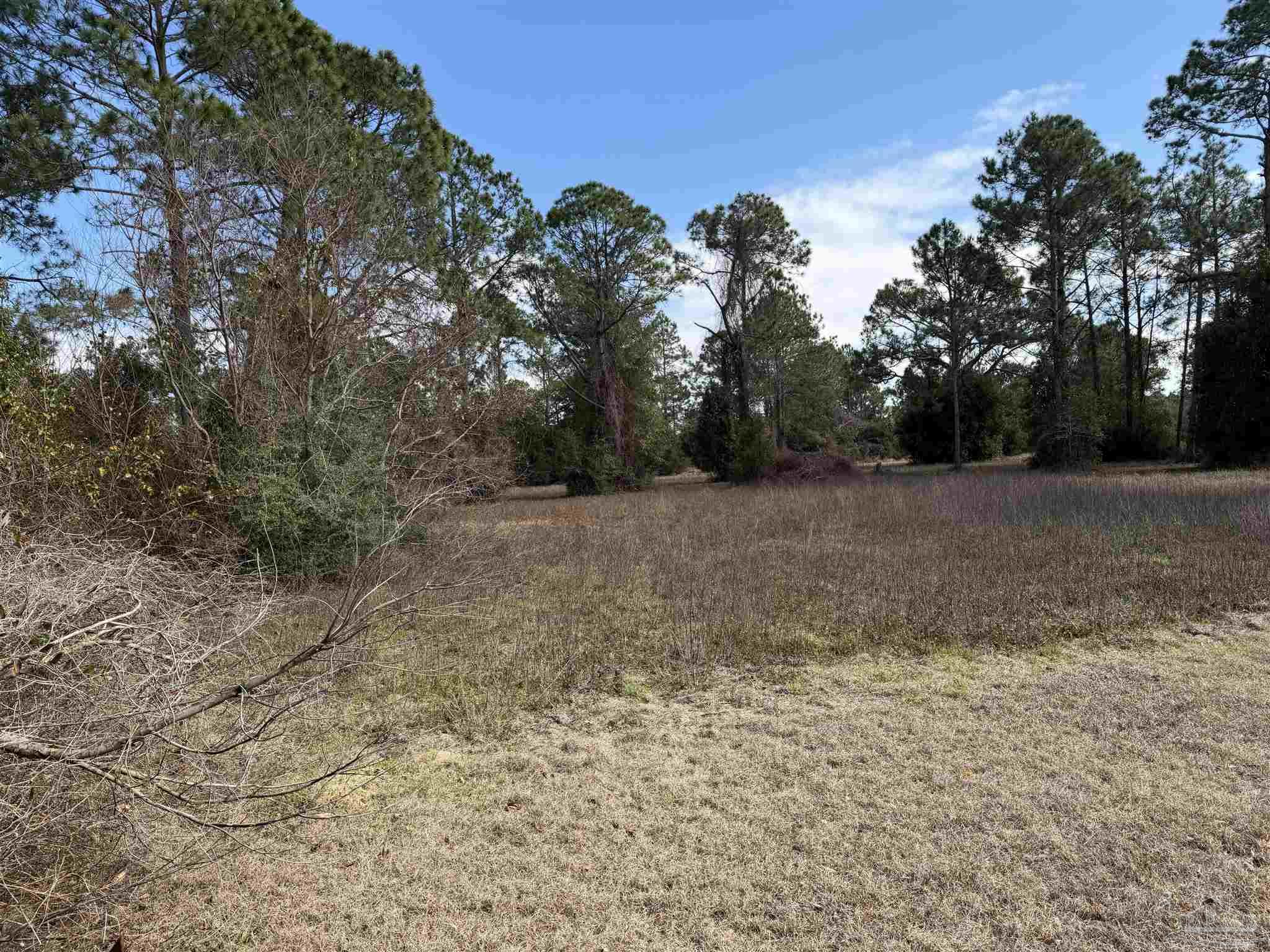 31849 Randolf Avenue Lillian, AL 36549 - Photo 10 of 16