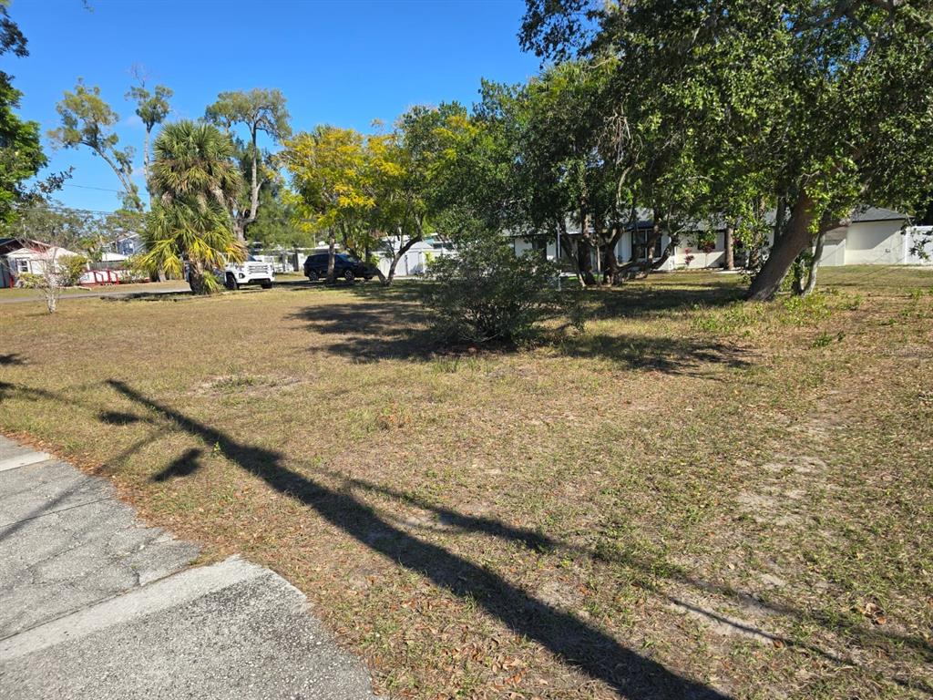 Milwaukee Avenue Dunedin, FL 34698 - Photo 4 of 7 a view of a yard with an trees