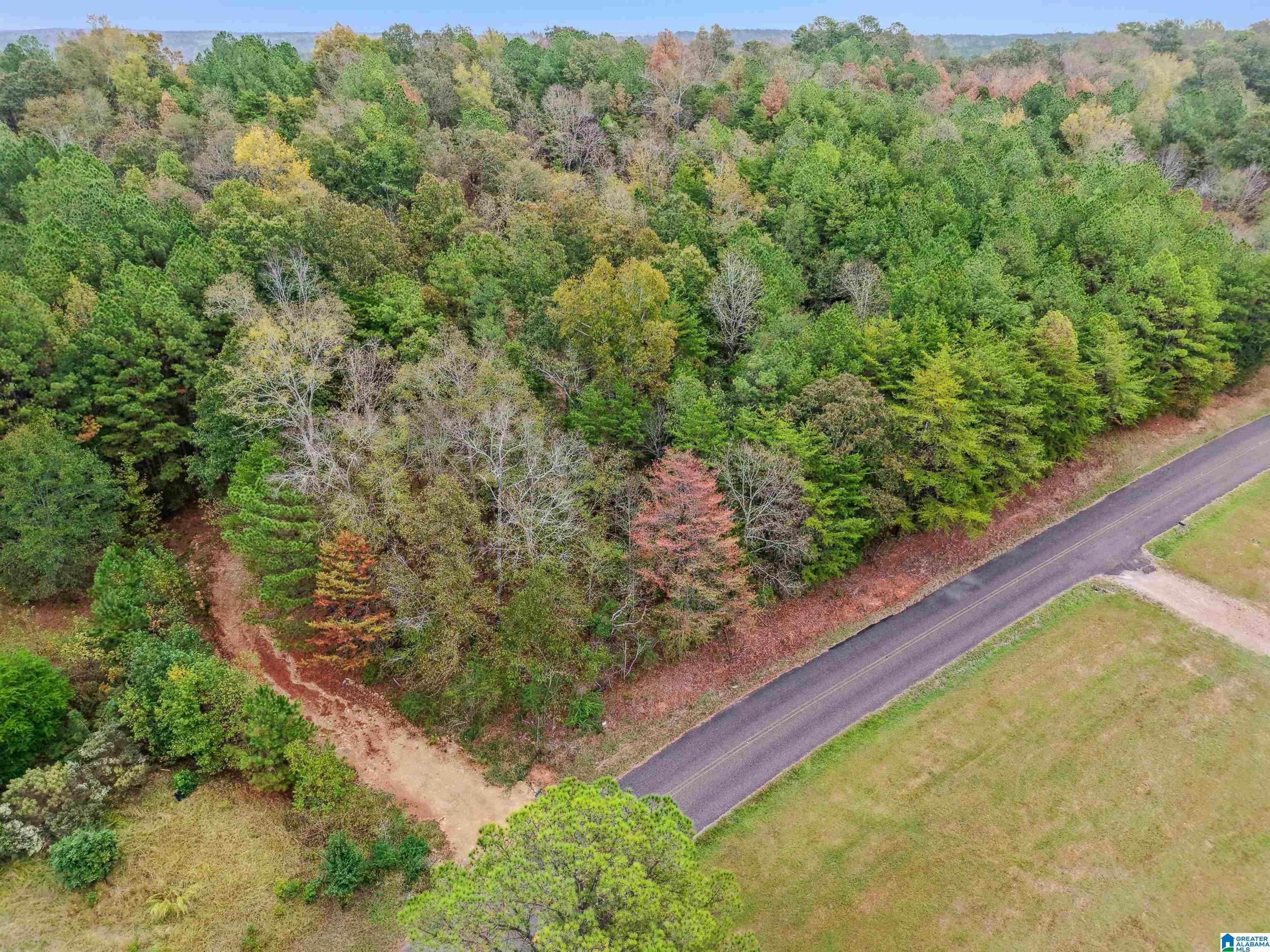 1215 Buddy Vines Camp Road Bessemer, AL 35023 - Photo 5 of 25